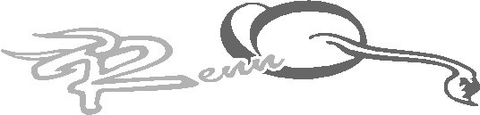 rennQ schriftzug.jpg