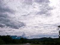_0012541.jpg