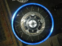 light 001.jpg
