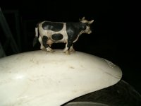 G-S Sep.2011 012.jpg