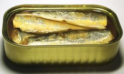 Oelsardine.jpg