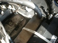 PB060012.jpg