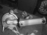 PC100009 sw.JPG