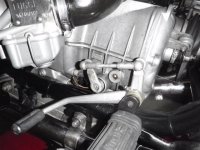 P7150026 (Small).JPG