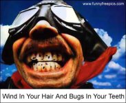 5352d1090327600-freundliche-motorrad-fahrer-leben-gefaehrlich-bugs_in_teeth.jpg