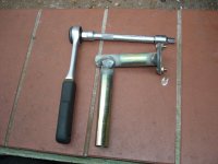 Halter 01.jpg
