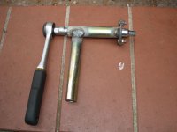 Halter 02.jpg