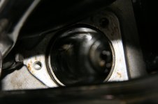 IMG_7474.jpg