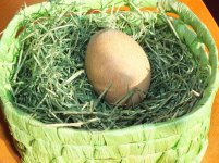 2012-04-08_Schreienerei_Osterei 001.jpg