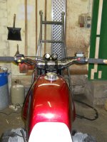Bild 144843.jpg