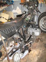 IMG_3393.jpg