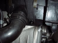 mit-SchlaufeP4292595.jpg