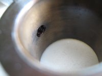 IMG_3412.jpg