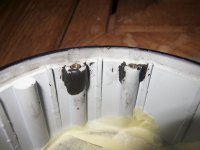 IMG_2867.jpg