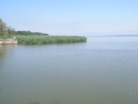 frische_nehrung-003.jpg