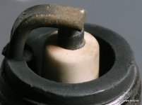 3-IMG_0095.jpg