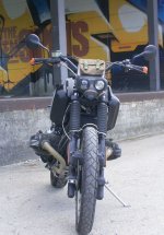 R100Survival3.jpg