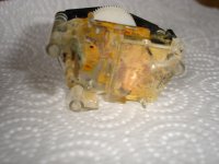 DSC01311.JPG