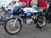 Prinzenpark Revival (2).JPG