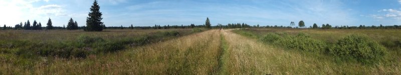 2012-08-12_Hohes_Venn 012.JPG