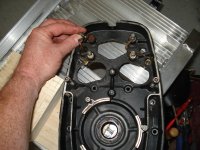 DSC09769.jpg
