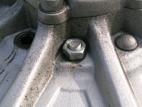 DSCN5426.jpg