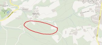 google.jpg