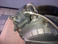 Stocking-20120814-00234.jpg