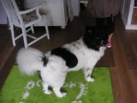 PICT0053.jpg