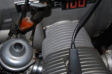 DSC_3818.JPG