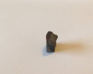 IMG_0060-ed.jpg IMG_0060-ed.jpg