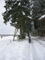 IMG_1053.JPG