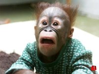 potentieller Dieb...SHOCKED.JPG