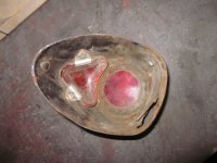 IMG_1992.jpg