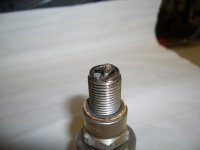 CIMG0129.jpg