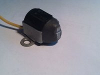 IMG_20130329_154535.jpg