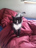 20130122_132126.jpg