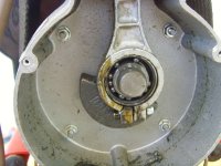 SNV30543.jpg
