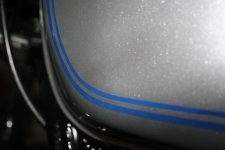 IMG_4150.jpg