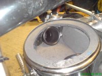DSC01056.jpg