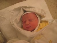 IMG_0113.jpg