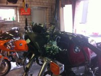 CS nach 06.09.2012 009.jpg