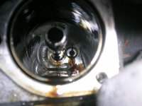DSCN5718.jpg