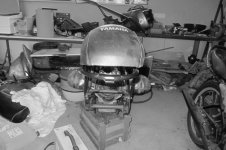 IMG_3042.JPG