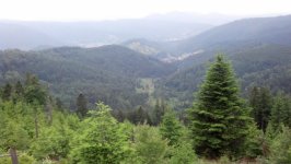2013-06-28 20.45.52.jpg