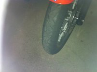 IMG_0762.jpg