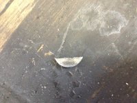 IMG_0087.jpg