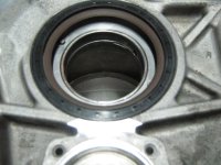 schwinge 039.jpg