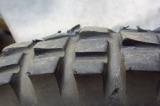 IMG_3386.JPG