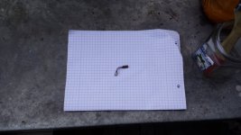 20130902_070750.jpg